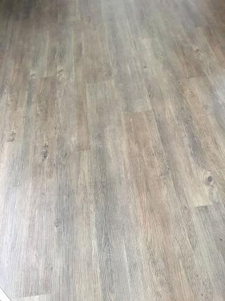 19433635_1405510369542867_1176411954_n